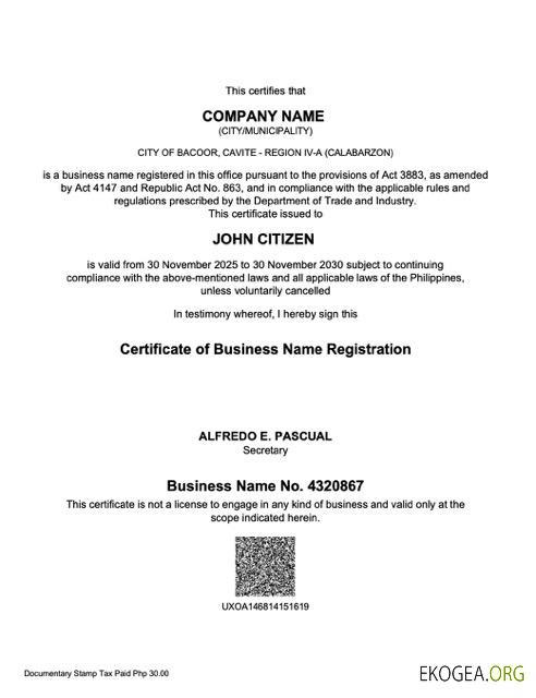 Certificat d'enregistrement de nom commercial aux Philippines Modèle Word et PDF